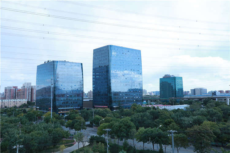 實木運動地板施工團隊